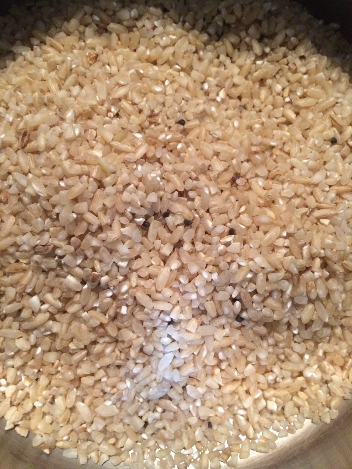 Healing Earth Farm Carolina Gold Our Adventurous Experimentation with