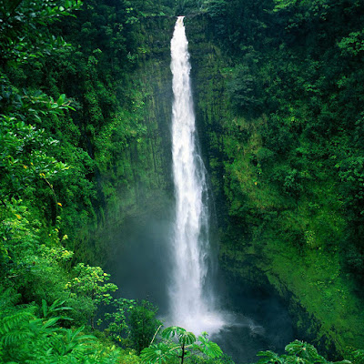 Akaka Falls, Big Island, Hawaii, USA download free wallpapers for Apple iPad
