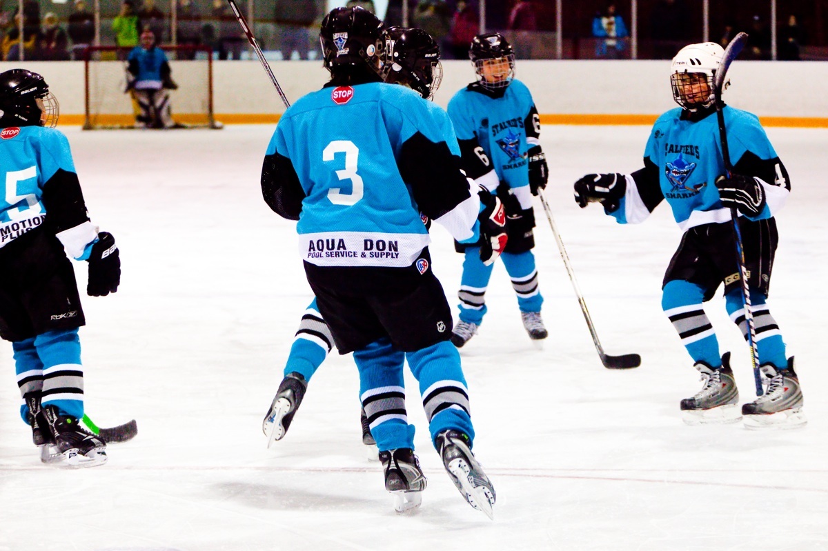 Dave Cooper Photography Hockey Night in St. Catharines