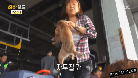 [사진/움짤多] 저는 유기견 마린이입니다. 제 가족이 되어주실 분 없나요? | 인스티즈