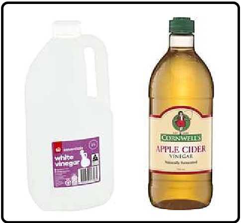White Vinegar and Apple Cider Vinegar White Vinegar and Apple Cider Vinegar