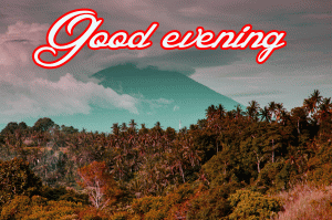 Best Good Evening Beautiful Nature Images Photo HD Download