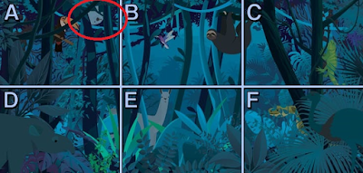 Q 6 Alt-2. At night, Paulette got lost in the Amazon jungle! Can you find her?