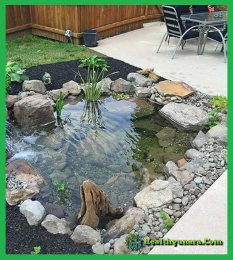 5 Minimalist Fish Pond Design Suitable For Simple House 5 Minimalist Fish Pond Design Suitable For Simple House