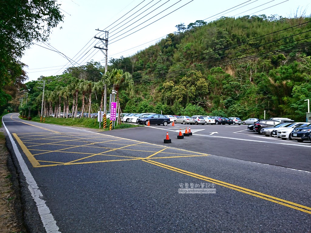 苗栗景點,雅聞七里香玫瑰森林,苗栗親子旅遊