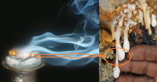 [[ Penemuan Lama Baru Terungkap ]] LuarBiasa....!! Ternyata Kemenyan Mampu Mencegah Kanker dan Menurunkan Kolesterol, Tidak Percaya ? Yuuk Simak Disini.....sebarkanlah