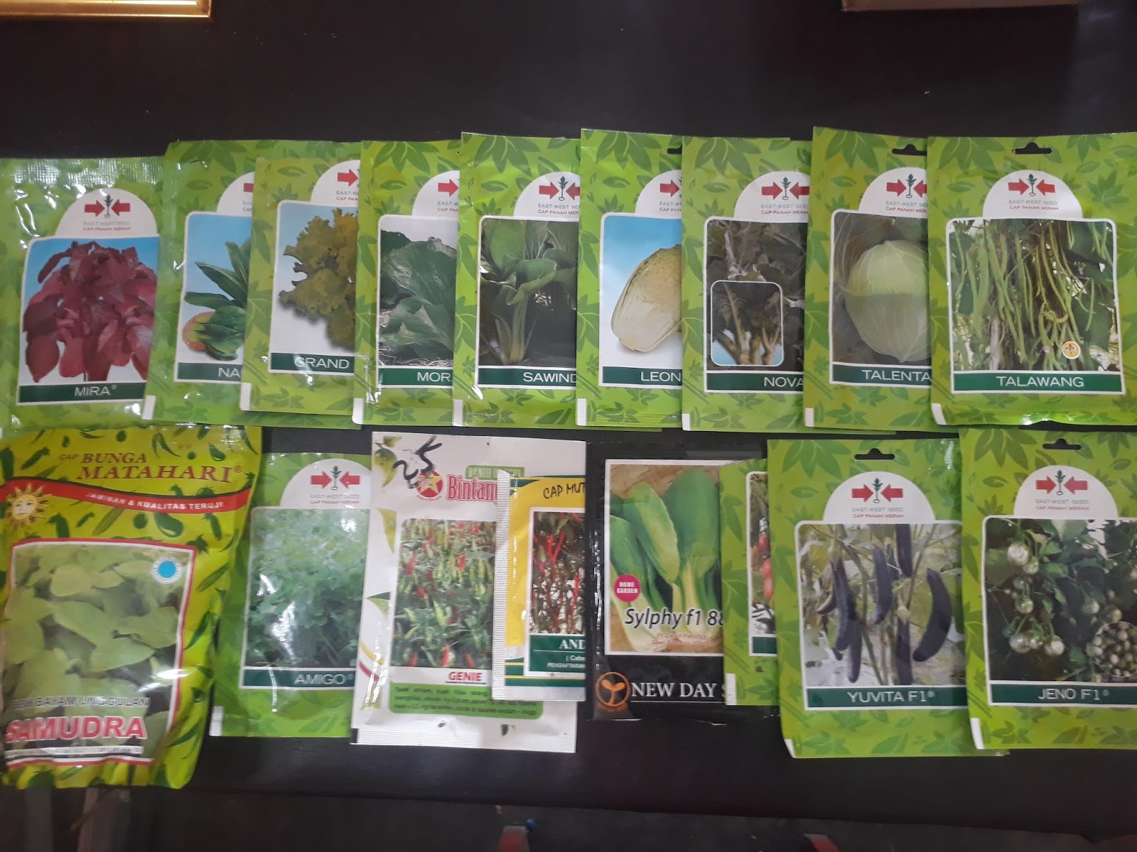 Talitakum Indonesia Jual Bibit Benih Sayuran Di Medan