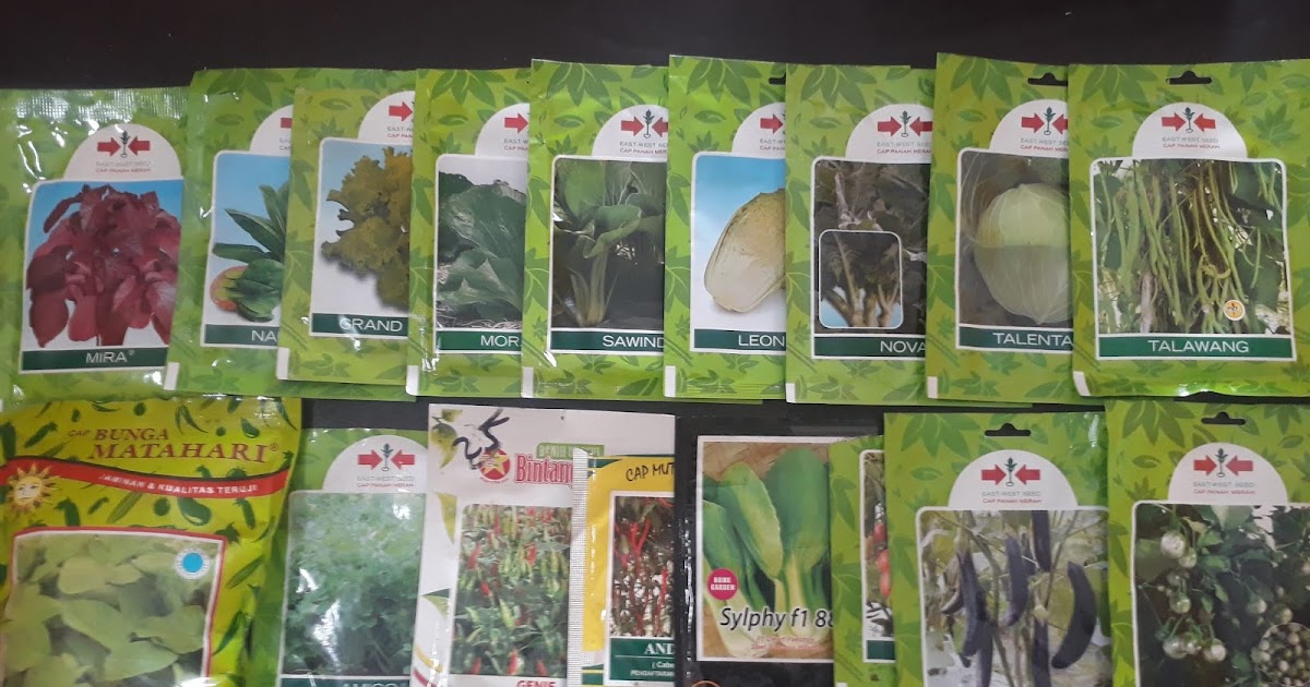 JUAL BIBIT (BENIH) SAYURAN DI MEDAN TALITAKUM INDONESIA