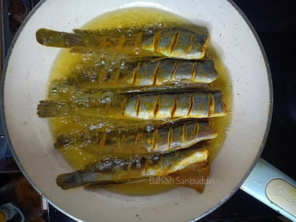 photo6242331513144323871.jpg (960×720)