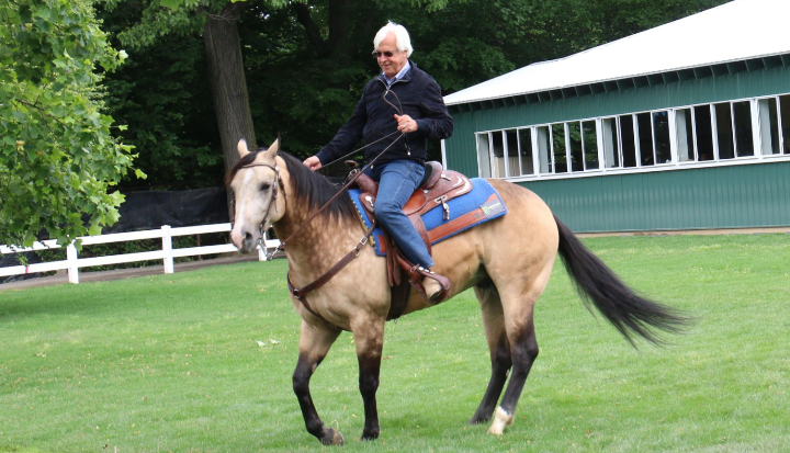 Horse Racing: Bob Baffert suing New York Racing Association following ban