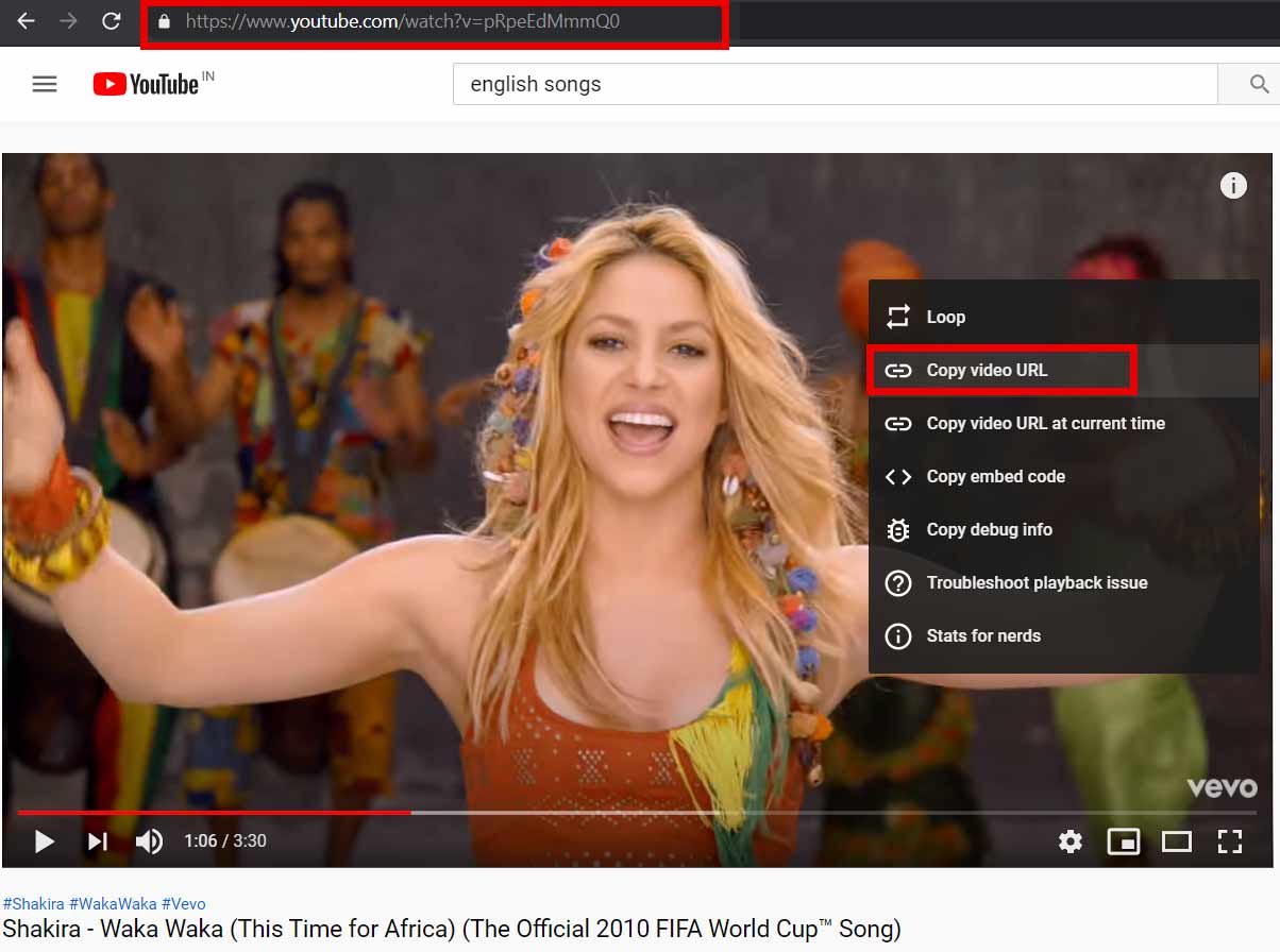 Copy your desired YouTube Video Copy your desired YouTube Video