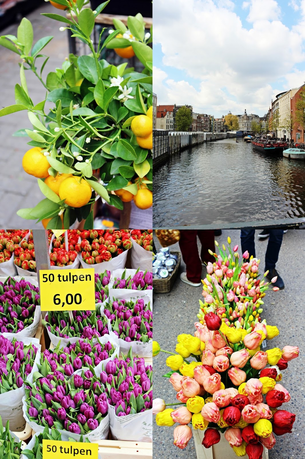 Amsterdam Bloomenmarkt