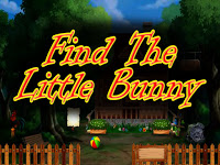  Top10NewGames - Top10 Find The Little Bunny