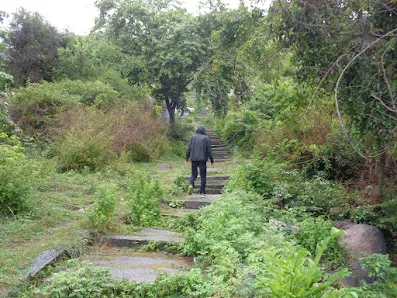 The trek trail on shivange is clear and well marked
