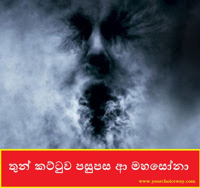 තුන් කට්ටුව පසුපස ආ මහසෝනා (Mahasoana) - Your Choice Way