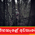 මහකැළේ අවතාරේ (Horror)