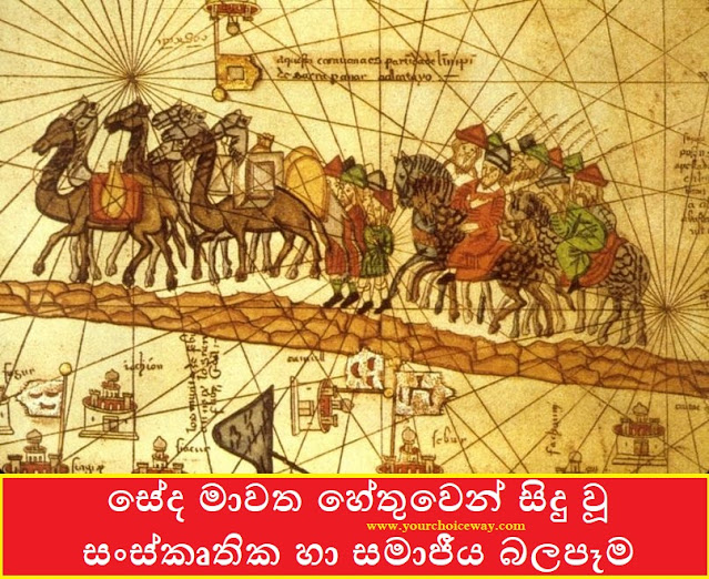 සේද මාවත හේතුවෙන් සිදු වූ සංස්කෘතික හා සමාජීය බලපෑම (Silk Road) - Your Choice Way