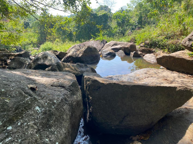 විශාල ගල්කුළු මැදින් ගලන - තුඩුගල ඇල්ල 🌱🪴🪨🌳 (Thudugala Ella) - Your Choice Way