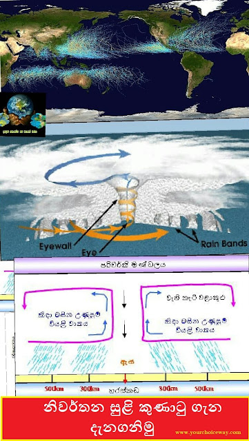 නිවර්තන සුළි කුණාටු ගැන දැනගනිමු (Let's Learn About Tropical Cyclones) - Your Choice Way