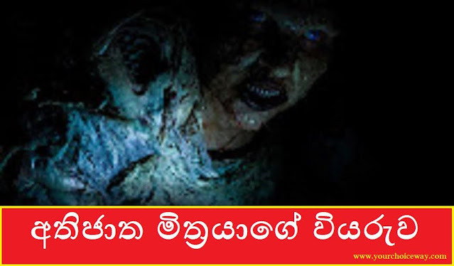 අතිජාත මිත්‍රයාගේ වියරුව (Friend) - Your Choice Way