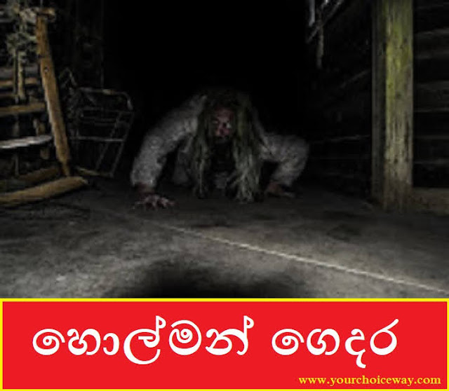 හොල්මන් ගෙදර (Homan Gedara) - Your Choice Way