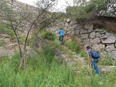 Pathways had good amount of greenery which kept the spirits up