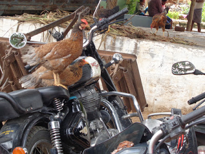 A couple of chicks sitting on Ashoks bike at the base of channarayanadurga