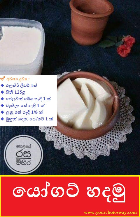 යෝගට්‍ හදමු 🥛🥛🥛 (Yogurt) - Your Choice Way