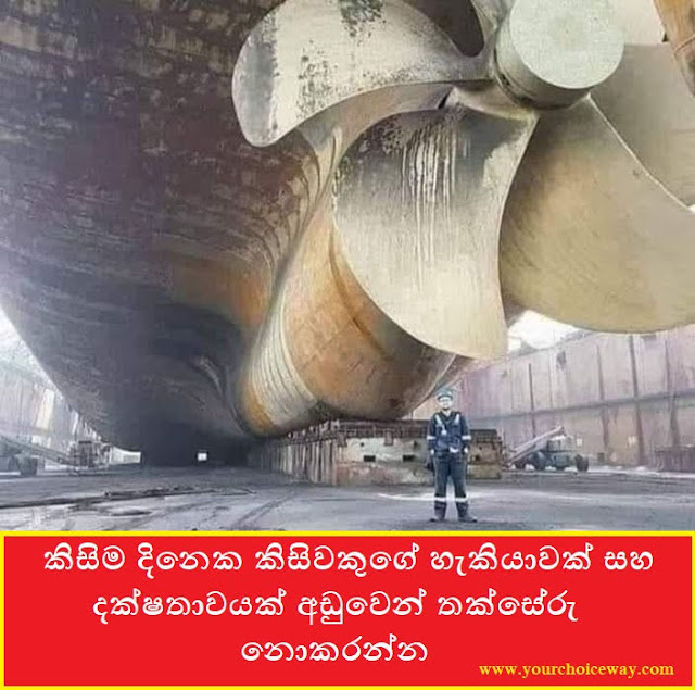 කිසිම දිනෙක කිසිවකුගේ හැකියාවක් සහ දක්ෂතාවයක් අඩුවෙන් තක්සේරු නොකරන්න (A Talent) - Your Choice Way