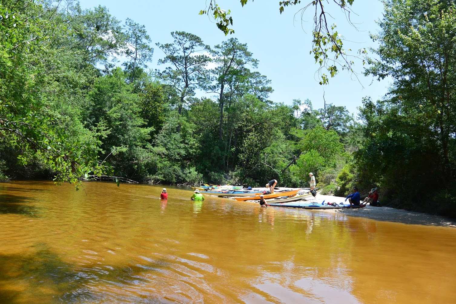 Southeastern Louisiana Paddling Jourdan River PaddleMcLeod Park, Kiln