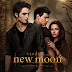 New Moon: A Darker and More Thrilling Chapter of the Twilight Saga