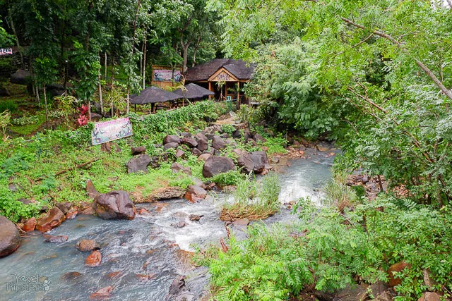 mambukal butterfly garden