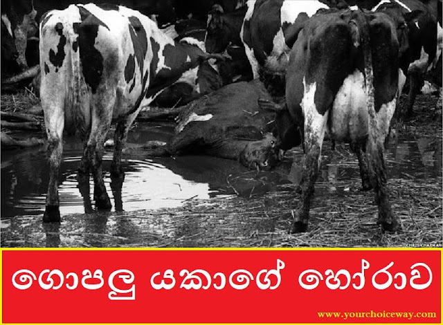 ගොපලු යකාගේ හෝරාව (Gopalu Yaka) - Your Choice Way