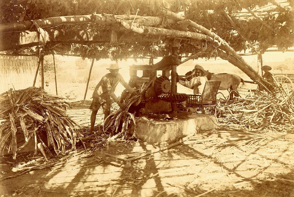 Image credit: University of Michigan Digital Collections. Image credit: University of Michigan Digital Collections.