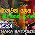 Abhimanawath Lesa Song Lyrics - අභිමානවත් ලෙස ගීතයේ පද පෙළ