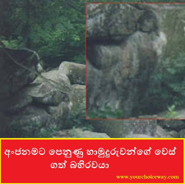 අංජනමට පෙනුණු හාමුදුරුවන්ගේ වෙස් ගත් බහිරවයා (Anjanama) - Your Choice Way