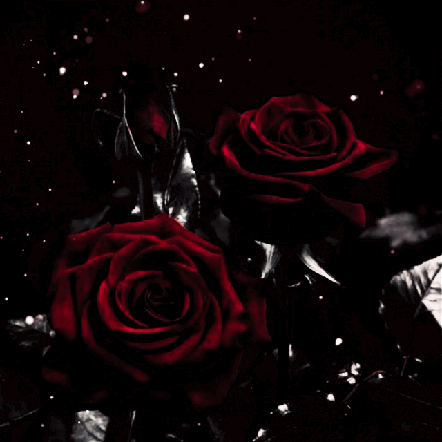 9z6trbxIBOKRTLG86uxJminVy13Y4NEYOPT4qZybSAaFC5eJHPj3f4I5AzGKm8RB3QqaenOT6fuxCWLI1yvtFxfNmGAADm3h7fYla5mYRuY1kx4WSF5v5ZvhwjT76qOxXeOQCGLW7O8zCTKPAYxq4Uc