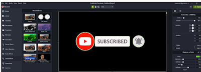 subscribe effect in Camtasia Studio