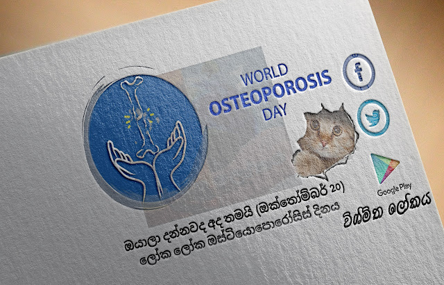 දවසේ වැදගත්කම - ඔක්තෝම්බර් 20 ලෝක ලෝක ඔස්ටියොපොරෝසිස්‌ දිනය (Significance Of The Day - October 20 World Osteoporosis Day) - Your Choice Way