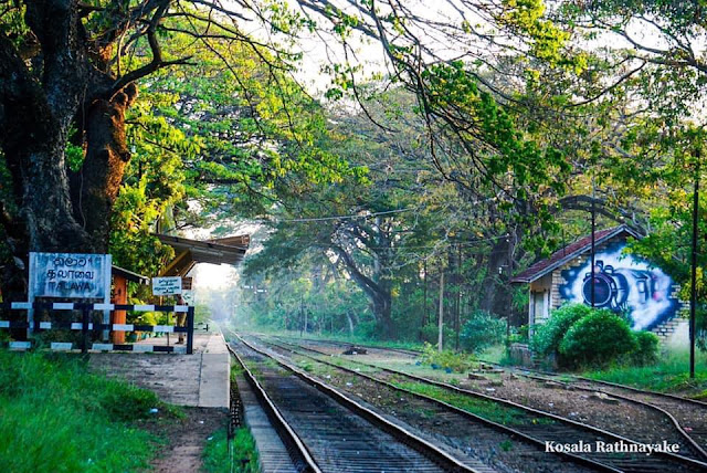 තවලම් ආව - තලාව දුම්රිය ස්ථානය 🚃🚋🚆🚧 (Thalawa Railway Station) - Your Chioce Way  Post settings Labels Sri Lanka, සුන්දර ලංකා Published on 11/19/21 3:00 AM Links Location Search Description අද අපි කතා කරන්න යන්නේ උතුරු මාර්ගයේ ලස්සන දුම්‍ රිය මාර්ගයක්...  මුලින්ම කියන්නම්කෝ මේ ගමට නම හැදුන හැටි   මේ ගමට තලාව කියන නම ආවේ මෙන්න මෙහෙමයි..  ත Options