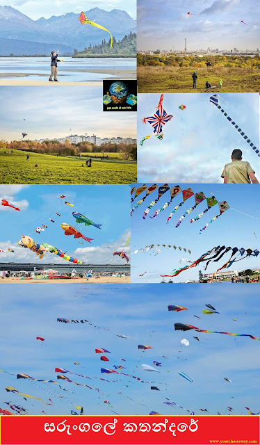 සරුංගලේ කතන්දරේ (The Story Of The Kite) - Your Choice Way