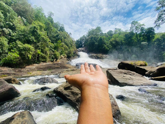 නිධානයක් සගවා ඇති - බෝපත් ඇල්ල 🌳🌱❤️ (Bopath Ella) - Your Choice Way