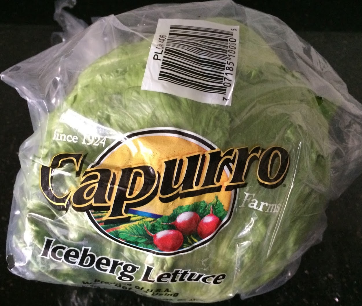 Capurro Iceberg lettuce