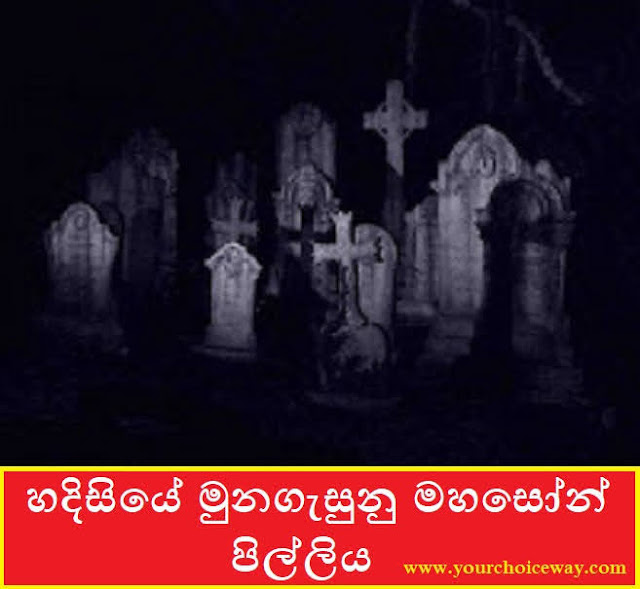 හදිසියේ මුනගැසුනු මහසෝන් පිල්ලිය (Mahasona)