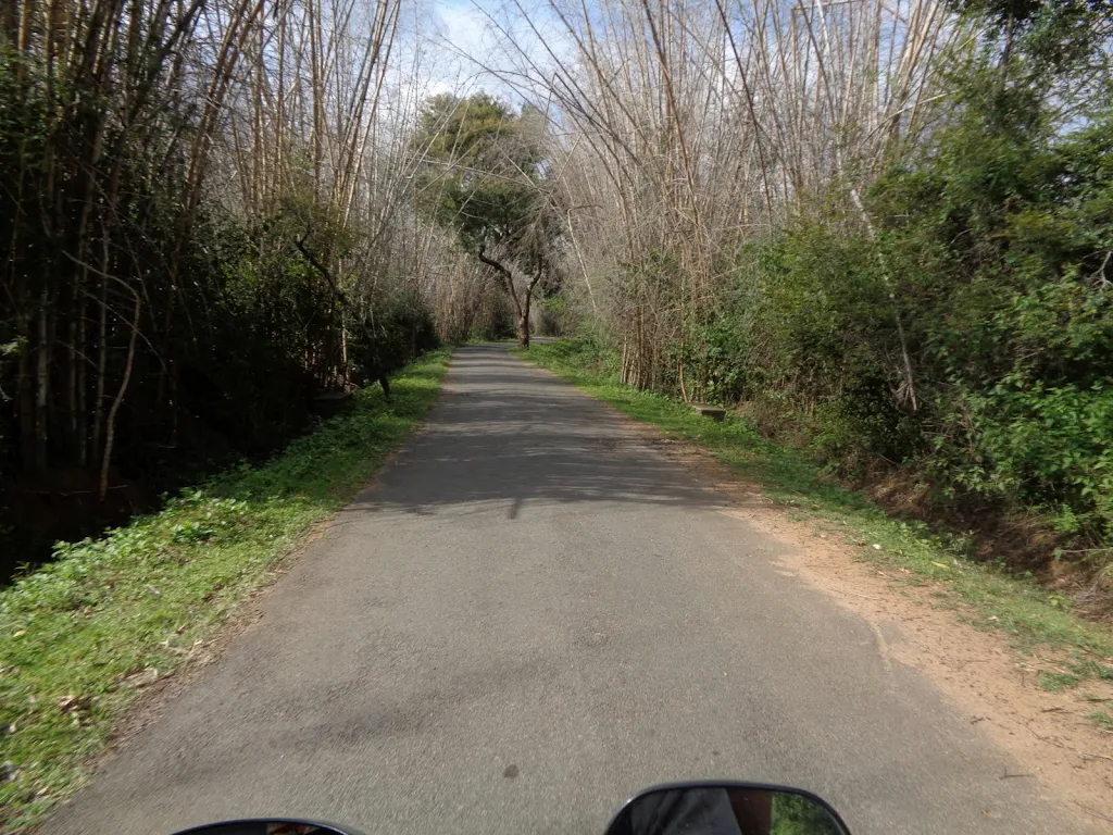 134) Bettamugilalam Aiyur Forest (7/8/2016)