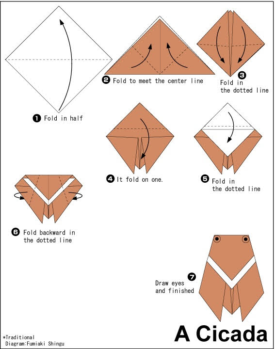 සිසඩ හදමු (Origami Cicada) - Your Choice Way