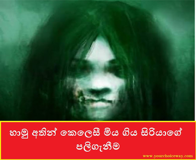 හාමු අතින් කෙලෙසී මිය ගිය සිරියාගේ පලිගැනීම (Siriya) - Your Choice Way