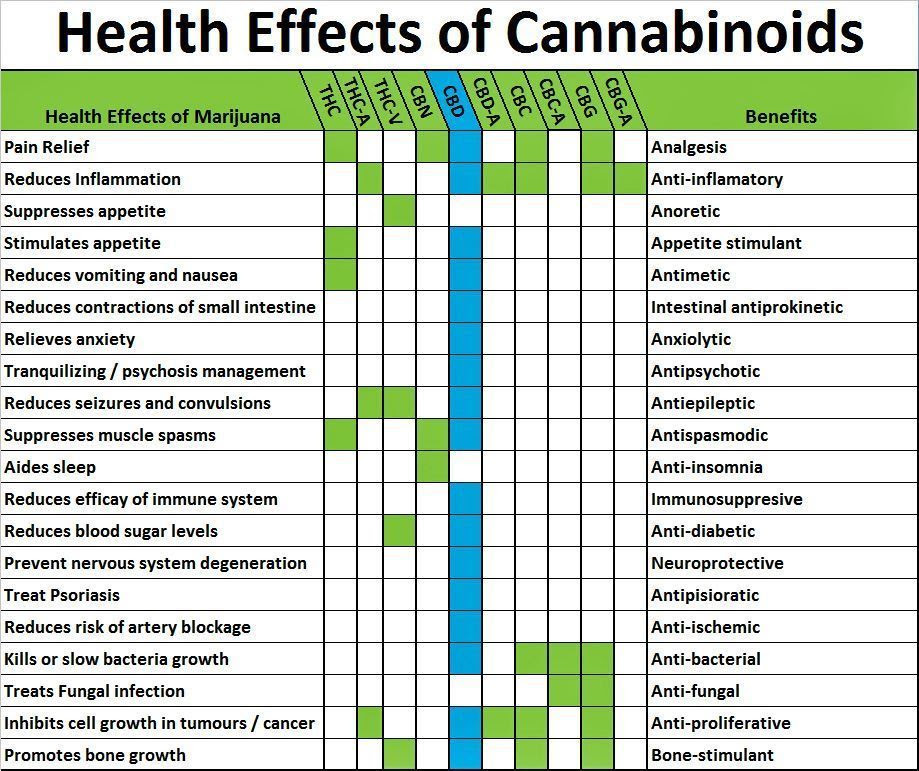 printable-terpenes-cannabinoids-chart-printable-word-searches