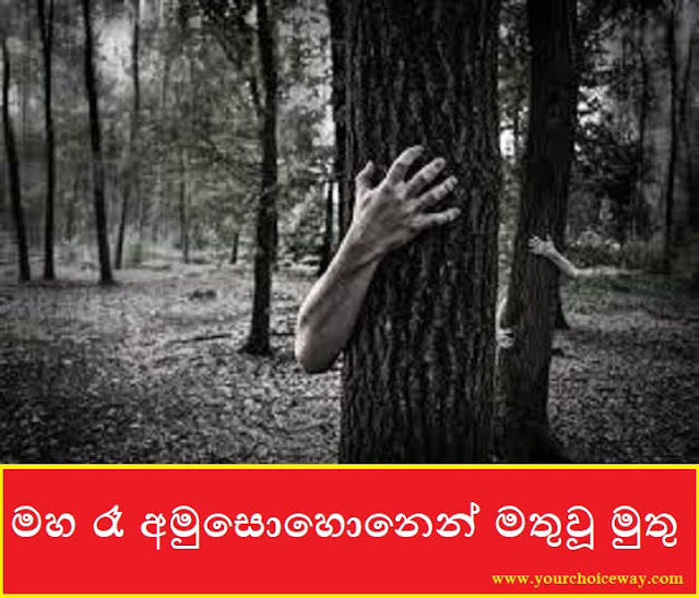 මහ රෑ අමුසොහොනෙන් මතුවූ මුතු (Muthu) - Your Choice Way