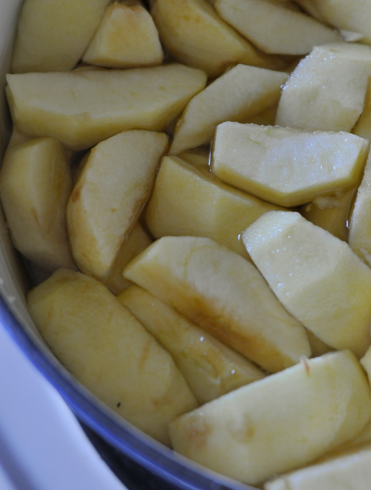 Cooked Organic Gala Apples | Taste As You Go